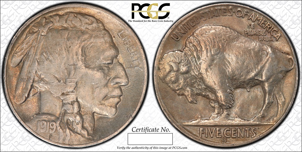You-Vs-PCGS---1919-S-Buffalo
