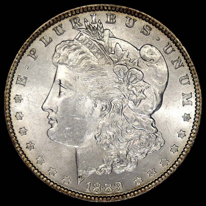 1889-Morgan-Dollar---Grading-Opinions-Please