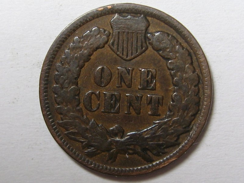Developing-My-Newest-Coin-Product!--Verdi-Care