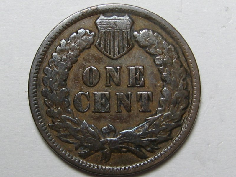 Developing-My-Newest-Coin-Product!--Verdi-Care