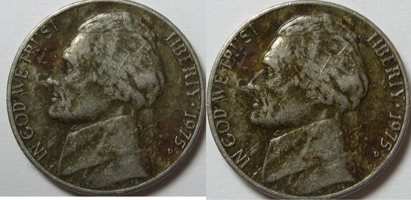 Developing-My-Newest-Coin-Product!--Verdi-Care