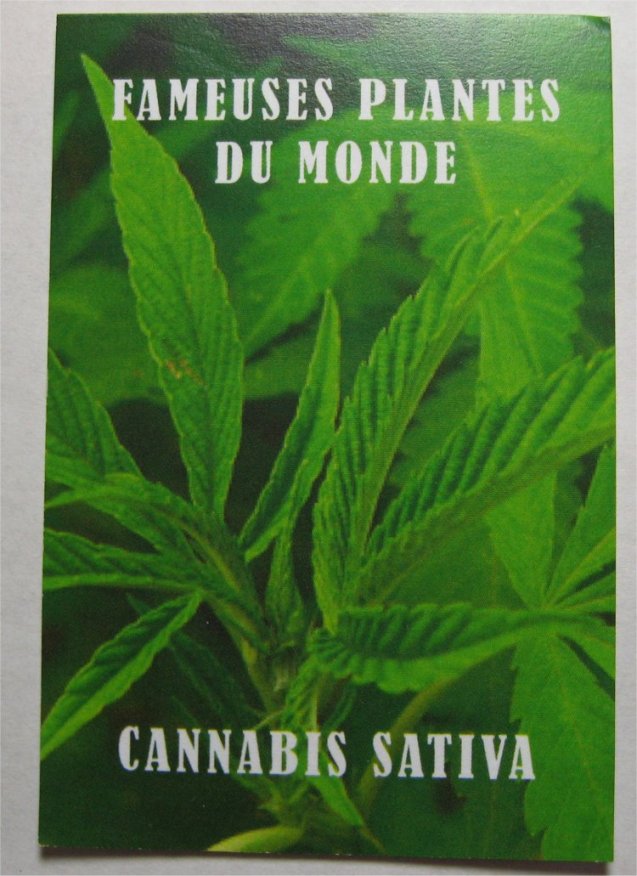 Pot-Coin