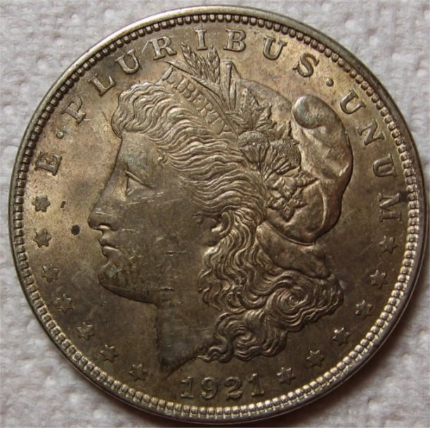 1921-Morgan---Grade-It!