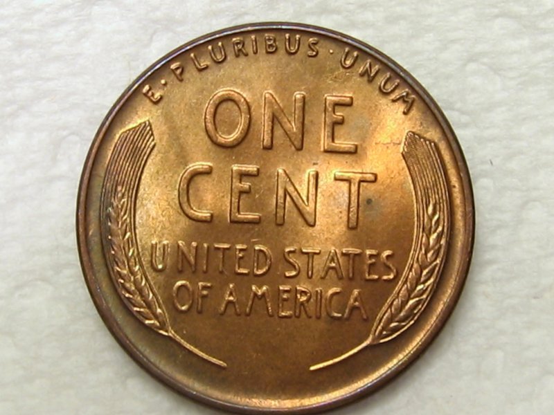 50-Days-Of-Lincoln-Wheat-Cents