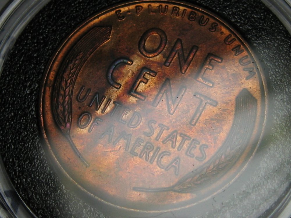 50-Days-Of-Lincoln-Wheat-Cents