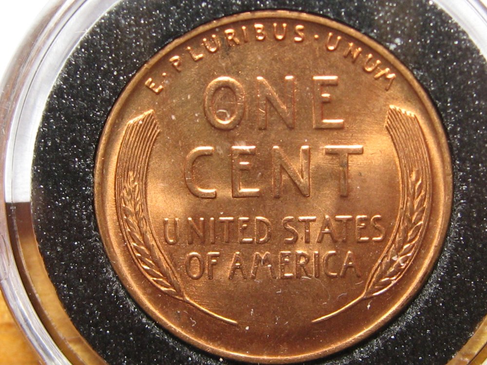 50-Days-Of-Lincoln-Wheat-Cents