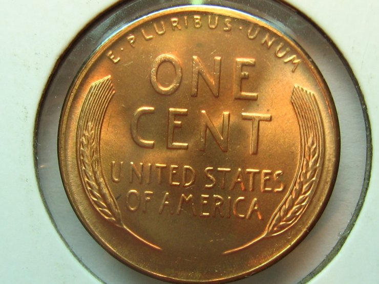 50-Days-Of-Lincoln-Wheat-Cents