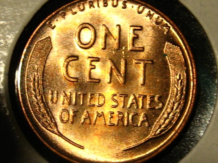 50-Days-Of-Lincoln-Wheat-Cents