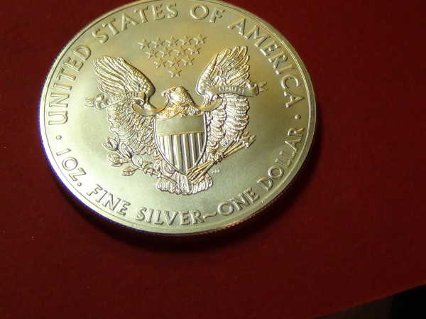 2013-ASE-Bullion-Doubling-&-Pin-Hole-W/Oil?