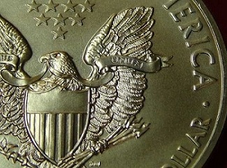 2013-ASE-Bullion-Doubling-&-Pin-Hole-W/Oil?