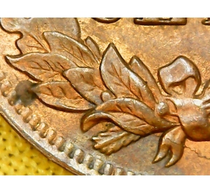 1902-Indian-Head-Penny-Grade?