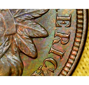 1906-Indian-Head-Penny--Grade?