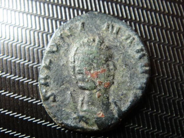 Salonina-Ae-?