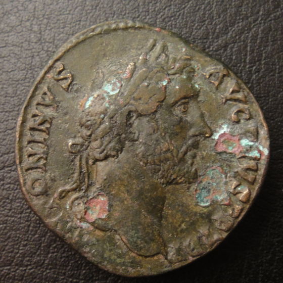 Bronze-Disease---Need-Help