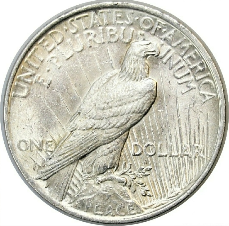 1923-Peace-Dollar-Double-Die-Grade-Thoughts