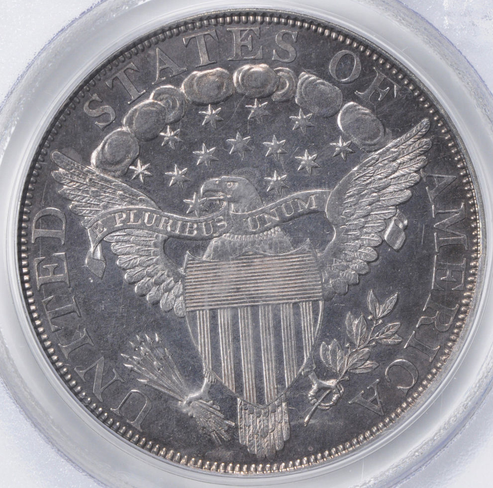 1802-Draped-Bust-$1-You-Vs-PCGS