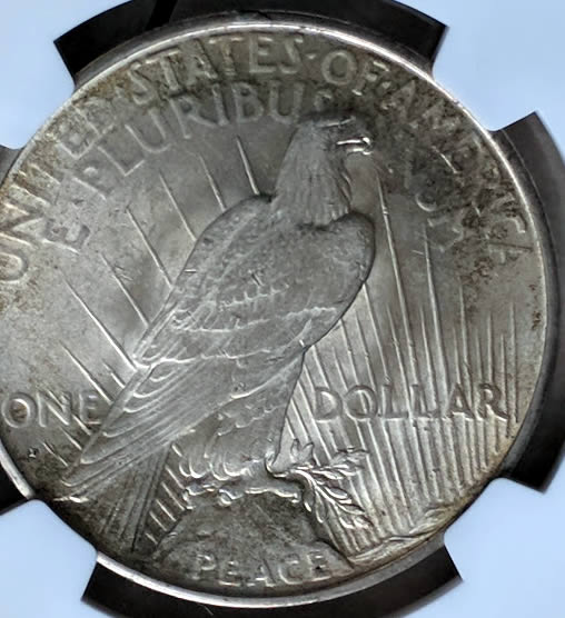 1934-D-Peace-Dollar...you-Vs.-NGC