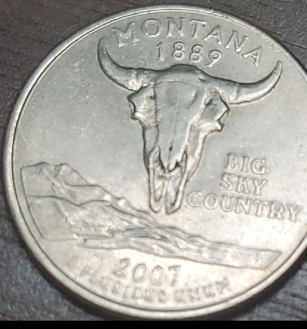 Possible-2007-P-Montana-Quarter-Error?