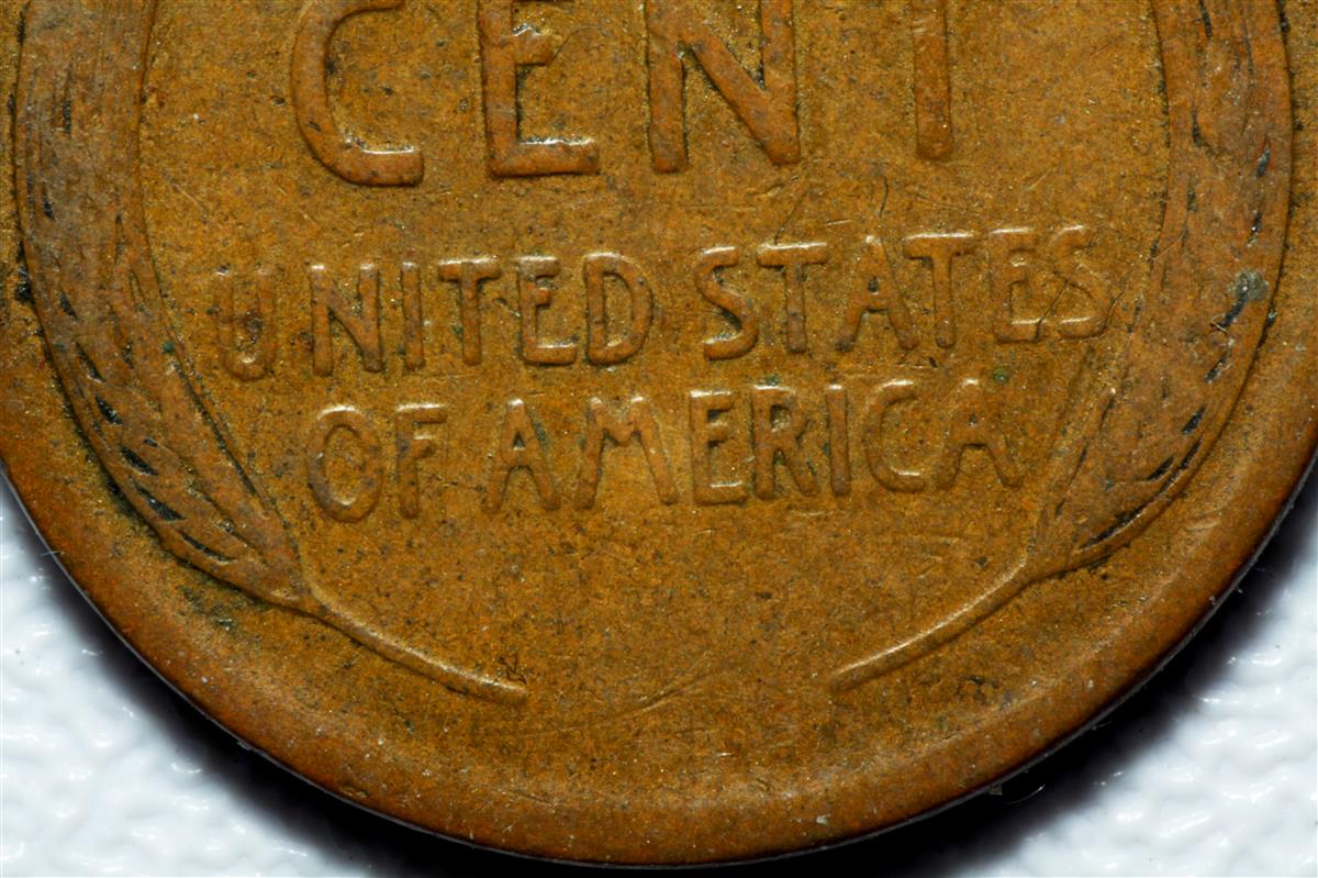 1922-No-D-LWC---Grade-And-Authenticate?