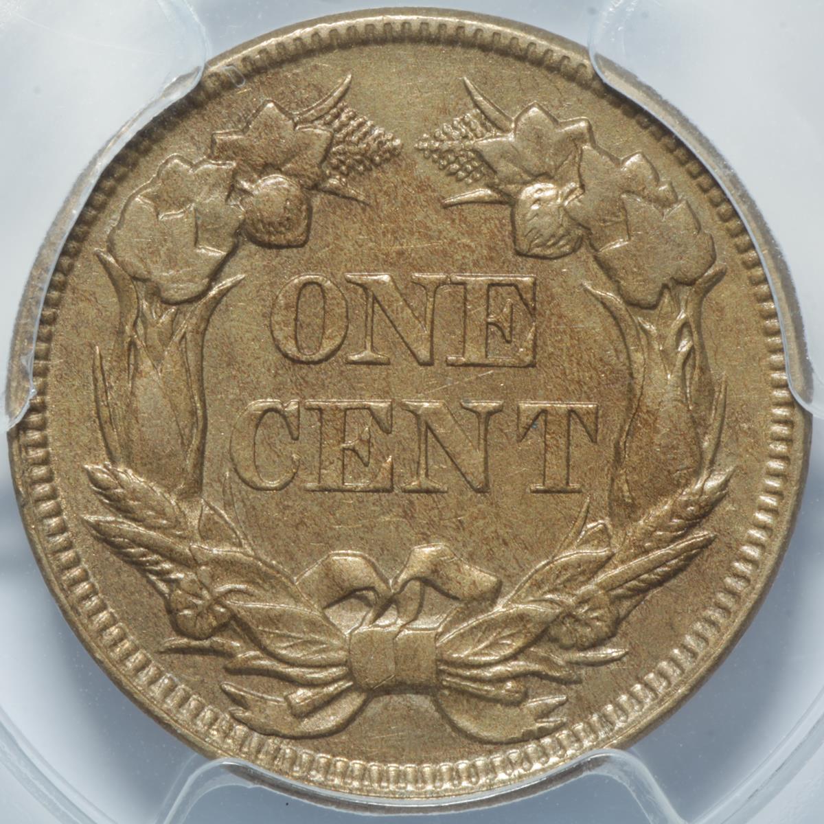 1857-Flying-Eagle---You-Vs-PCGS