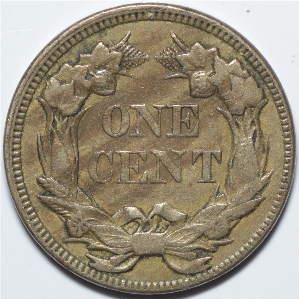 Grade-My-Newest-1857-Flying-Eagle