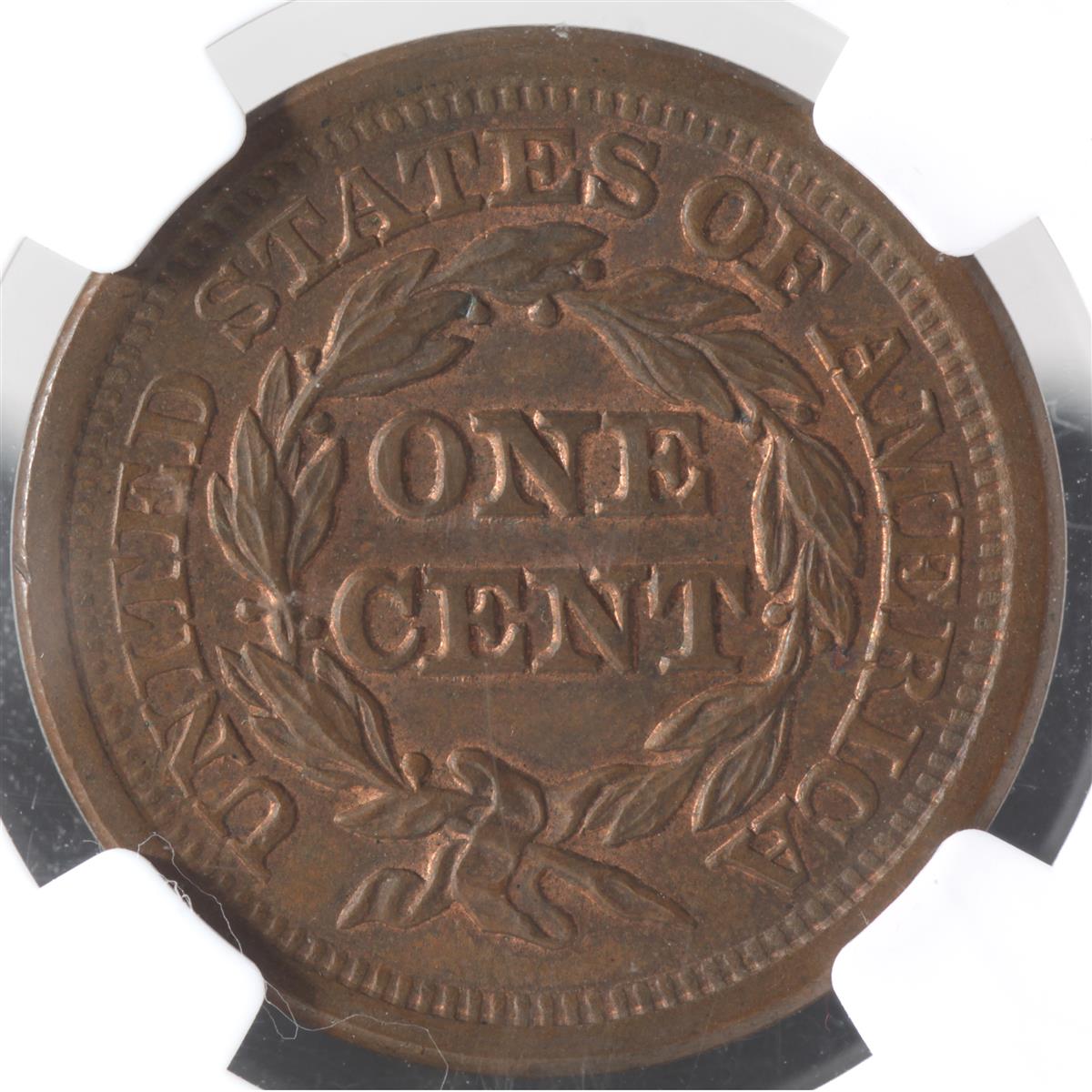 100-Days-Of-19th-Century-US-Coins-Plus-+-64-More-Days-Of-20th-Century!!-II