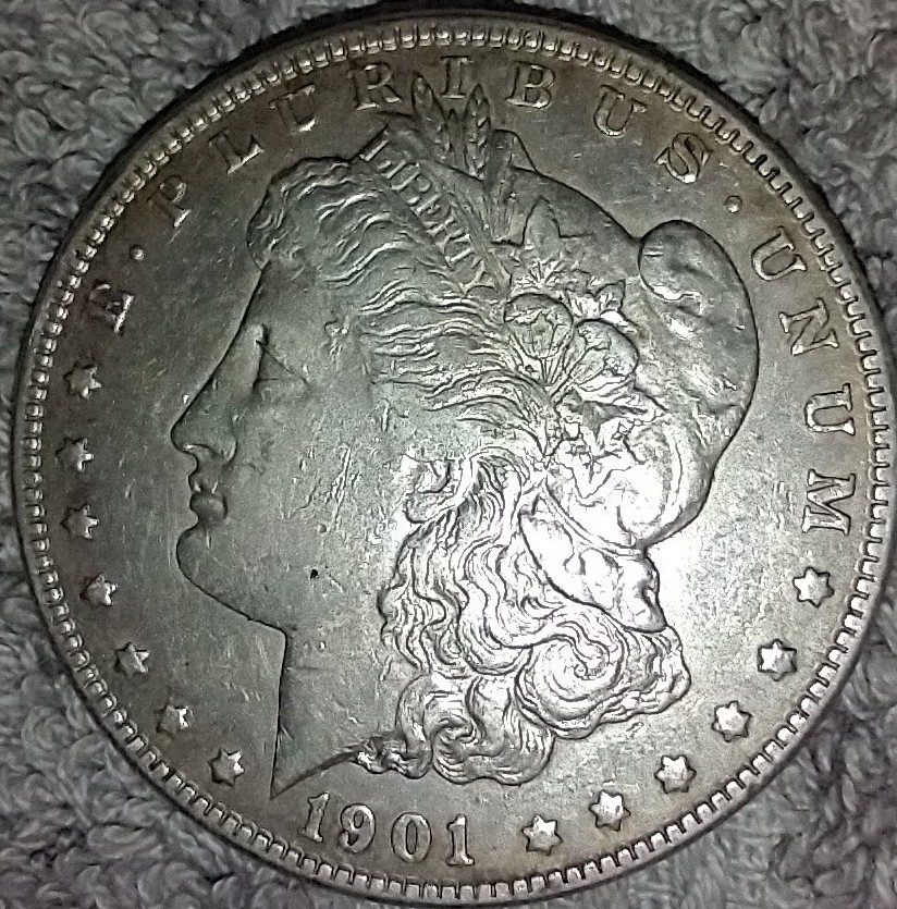 1901-Silver-Dollar-Please-Help-Out-With-Value