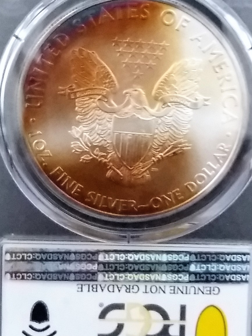 2008-American-Silver-Eagle---When-PCGS-Cant-Determine-Legitimacy