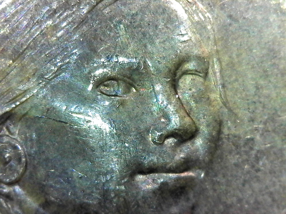 Sacagawea-Dollar-Missing-An-Eye---Die-Clash?