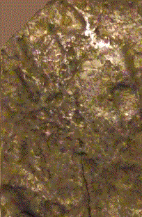Guess-The-Emperor,-Caesar,-Or-Empress
