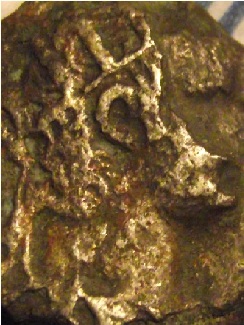 Guess-The-Emperor,-Caesar,-Or-Empress