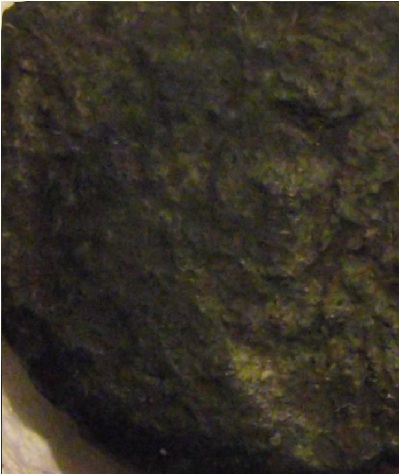 Guess-The-Emperor,-Caesar,-Or-Empress
