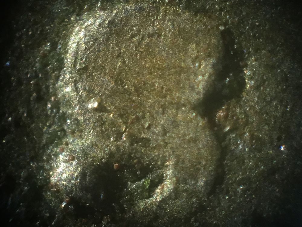 1954-S-Jeffderson-Nickel-With-A-Strange-Mint-Mark
