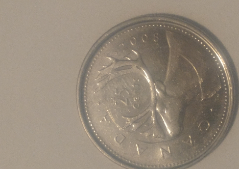 Newbie-From-Alberta-Canada---2008-Canadian-Quarter-Error?
