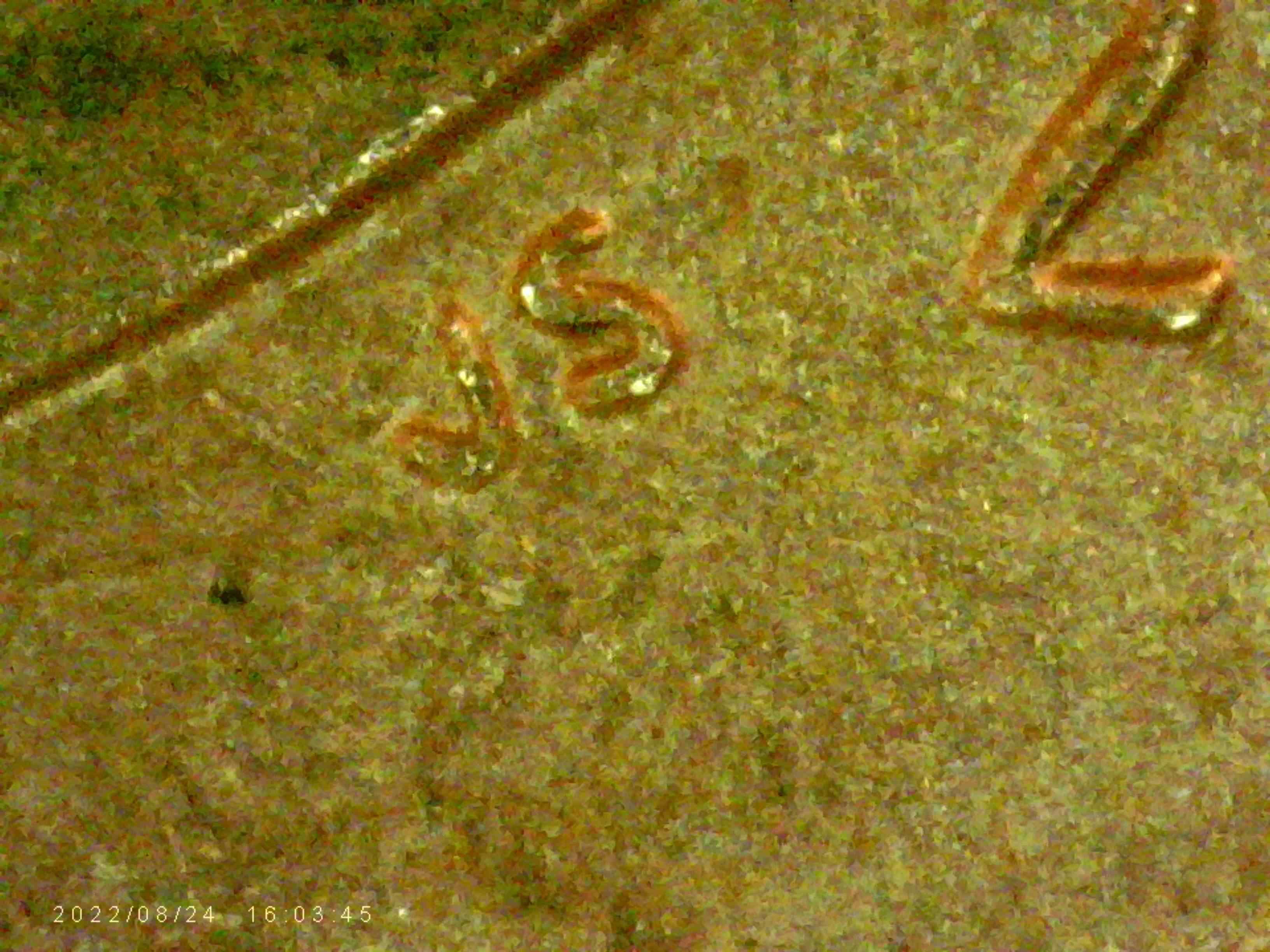 2013-Roosevelt-Dime-Is-There-DDO-I-G-W-.-T-And-Liberty-To-The-N-.w?
