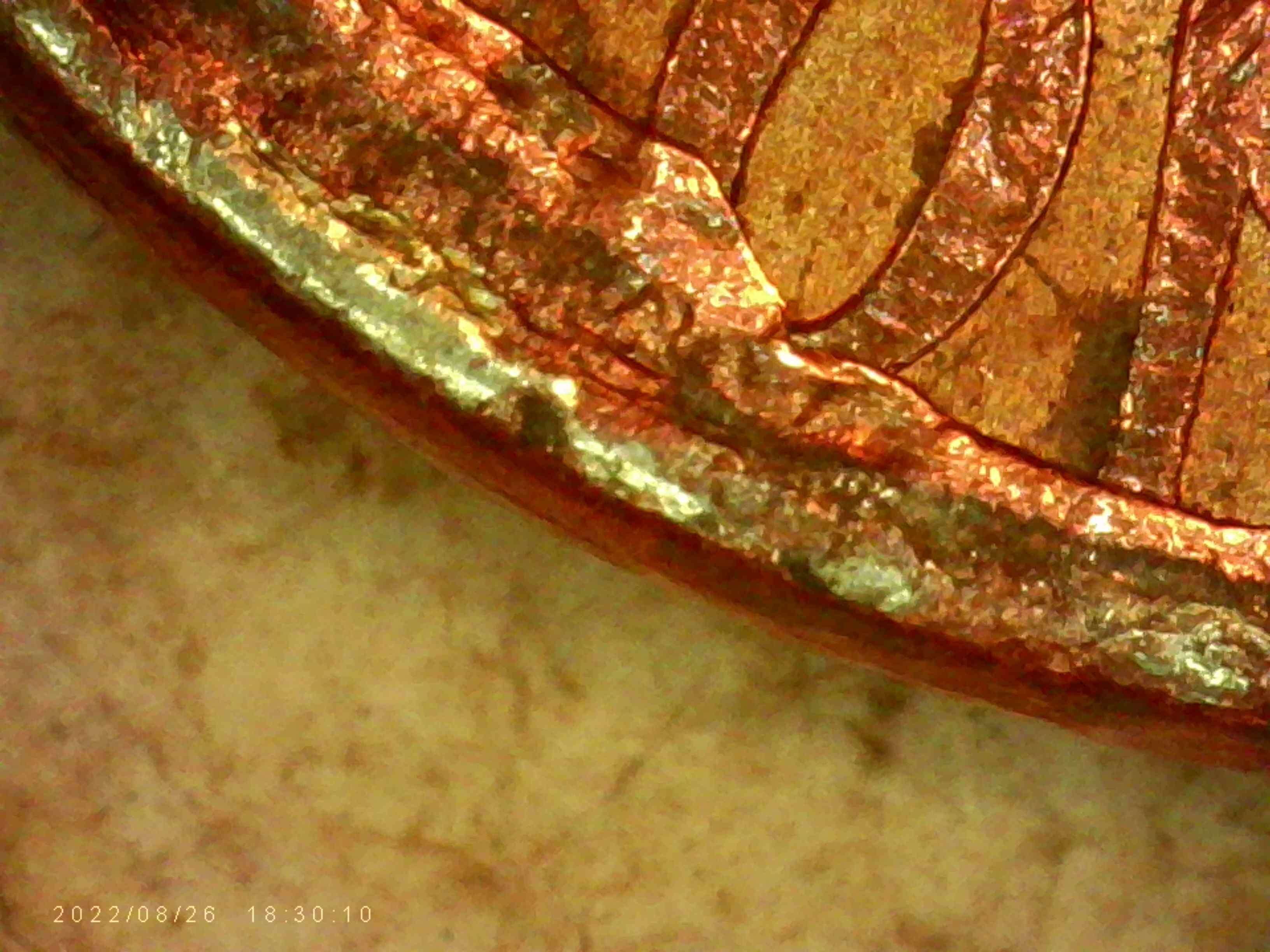 1989-L.m.c.is-This-Die-Brake-Or-What?-Dim.17.-MM-2.5-G