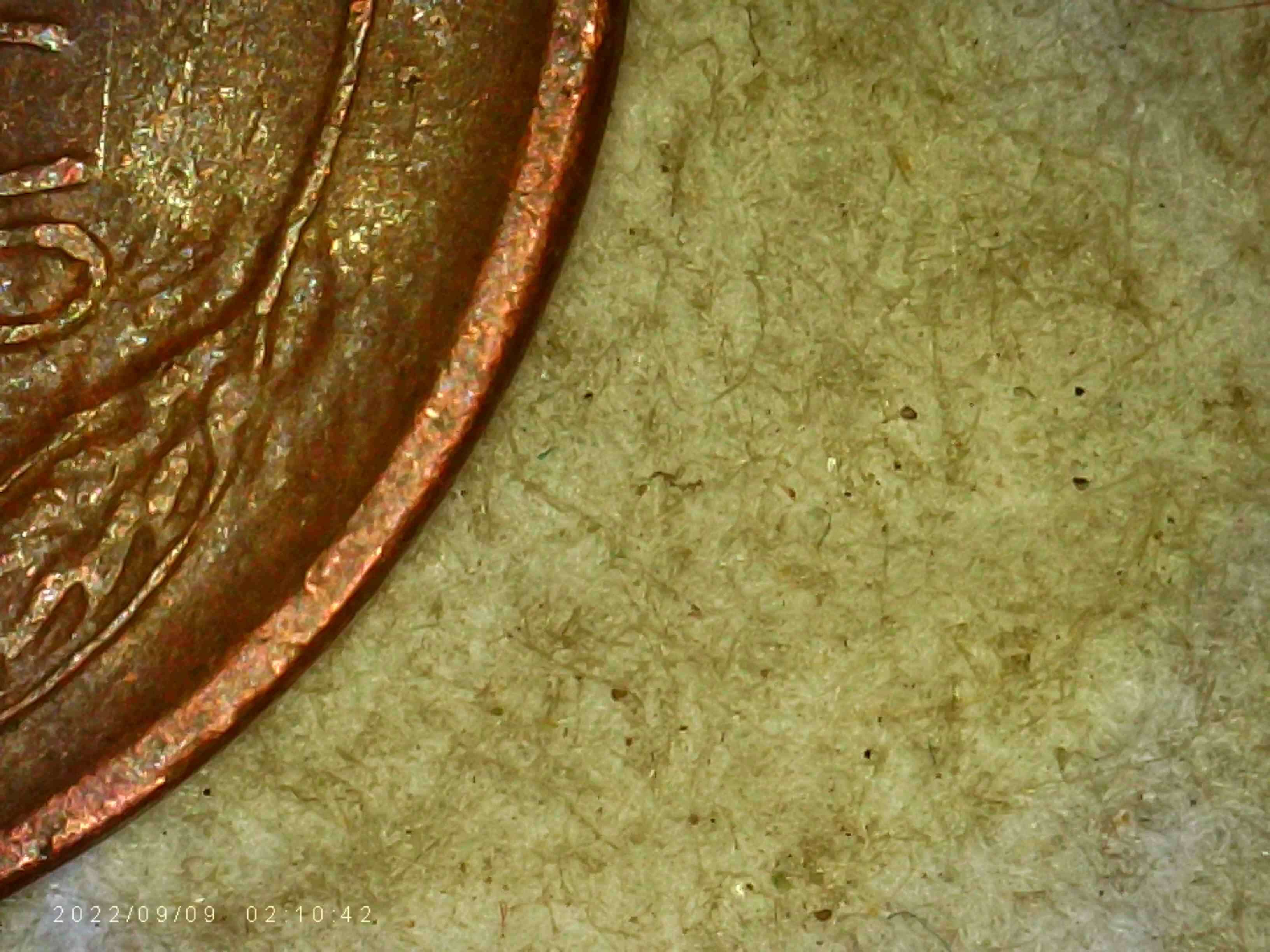 1952-S-LWC-DDR-On-Wheat-Stalks?-Looks-Like-It-To-Me.
