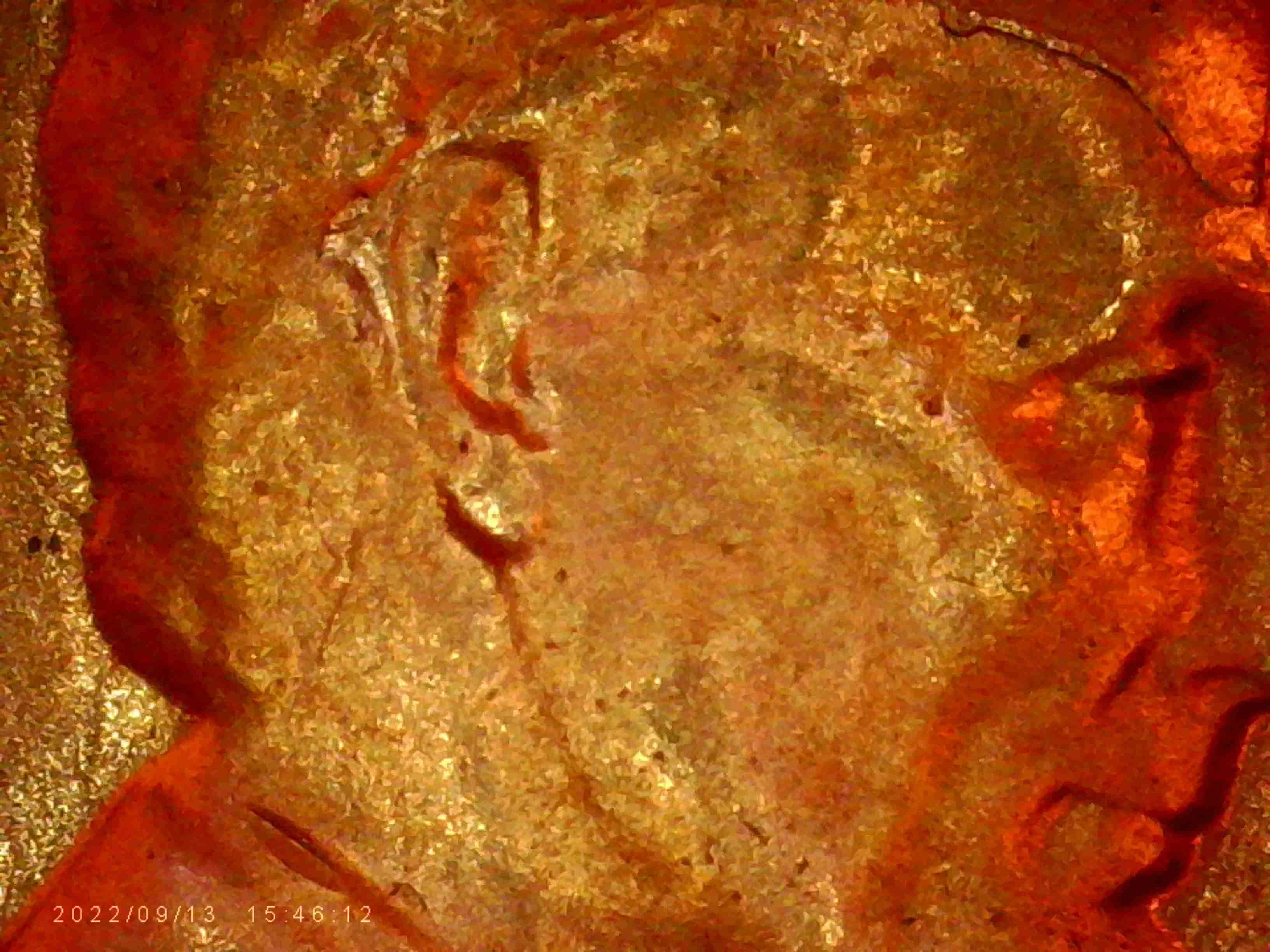 1959-LMC-Is-This-DDO?-Coin-#2-Ear-Hair-Die-Crack-On-Forehead