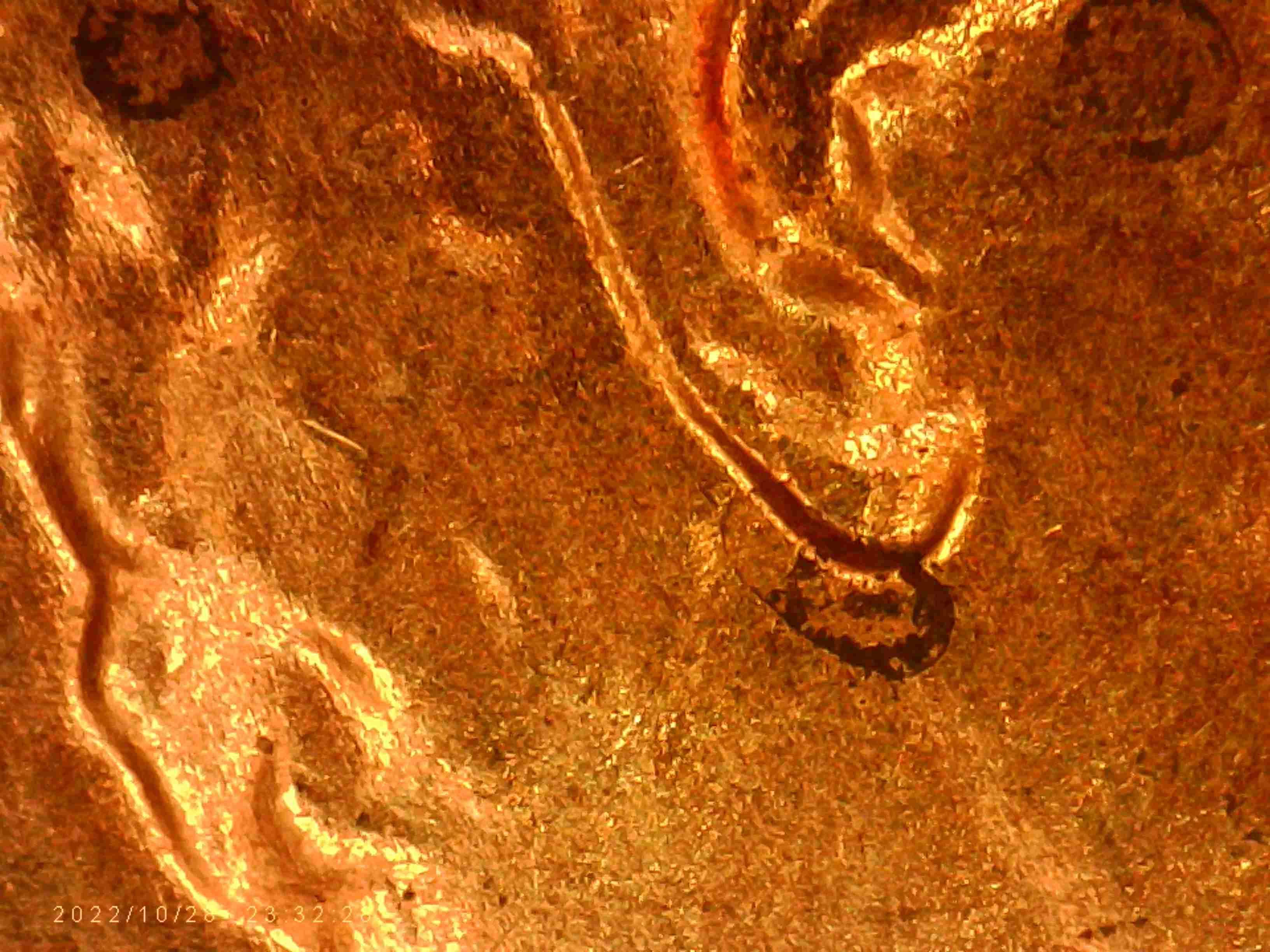 2020-LSC-Are-These--Considered--Double-Ear-Lobe?-Thanks-Bentpenny