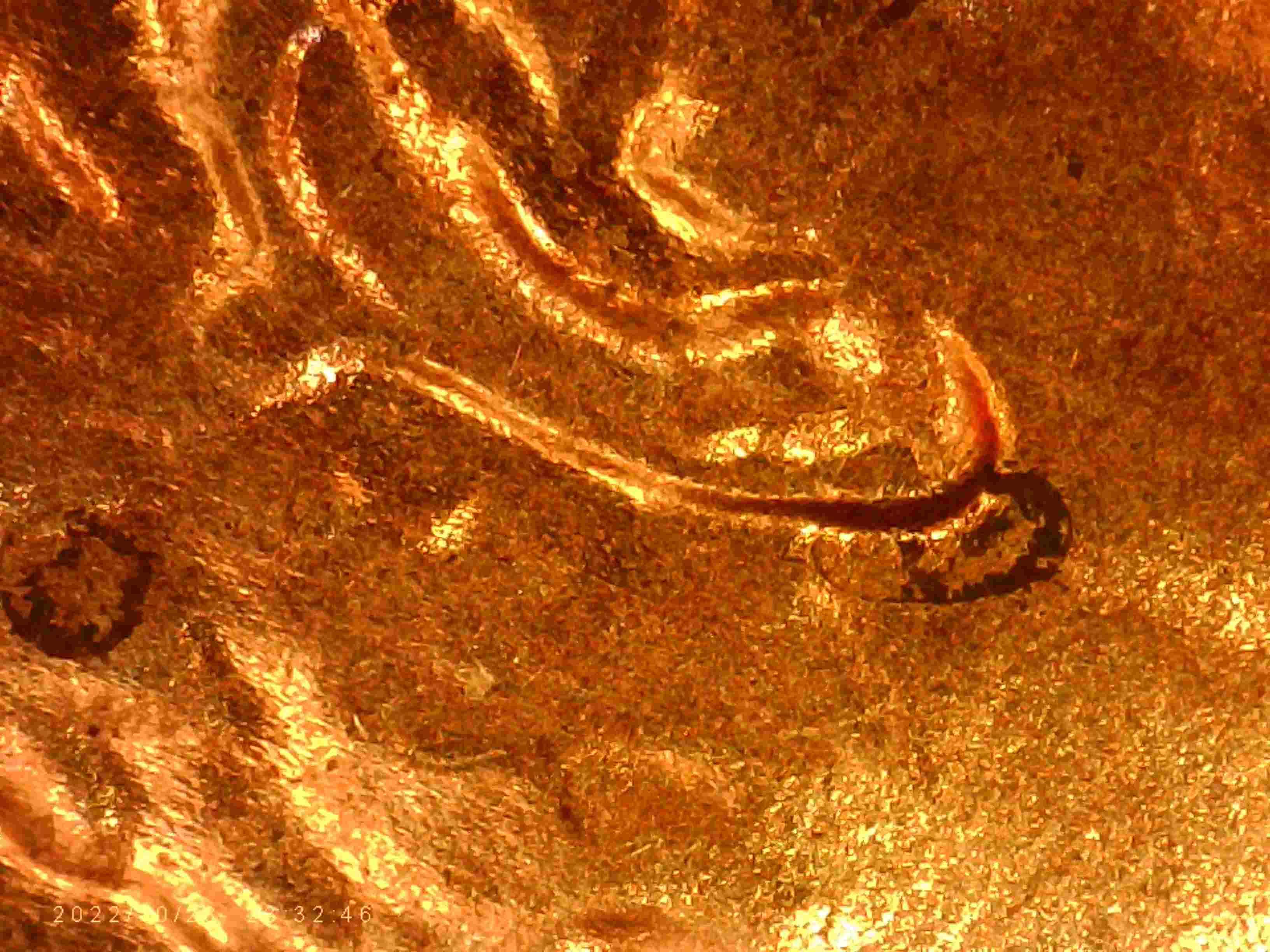 2020-LSC-Are-These--Considered--Double-Ear-Lobe?-Thanks-Bentpenny