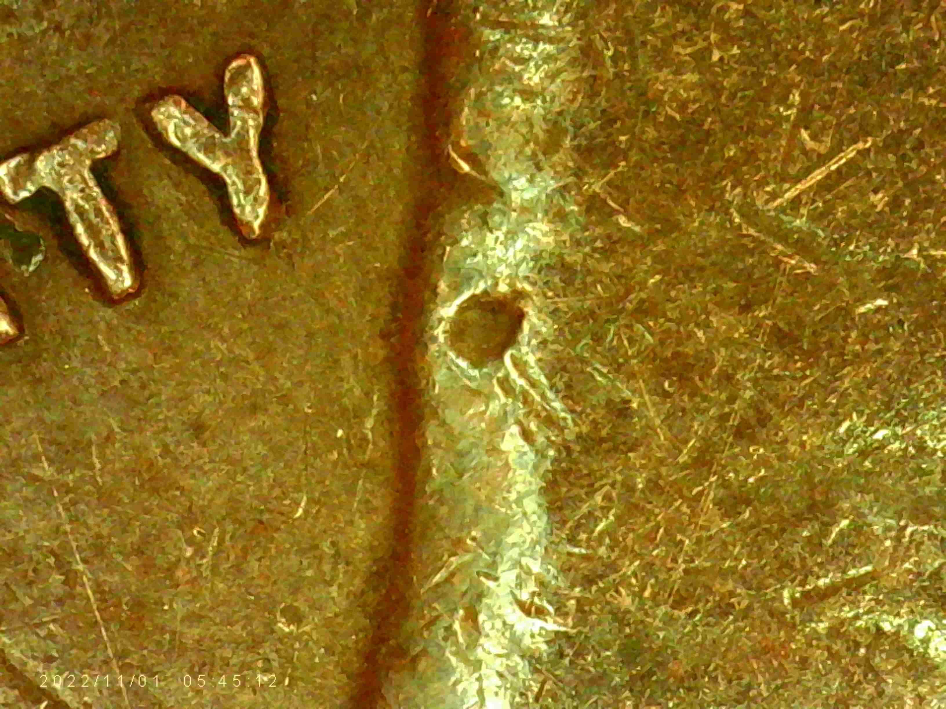 1929-LWC-D-Is-This-Plated-It-Looks-Silver-In-Color?-Thanks-Bentpenny