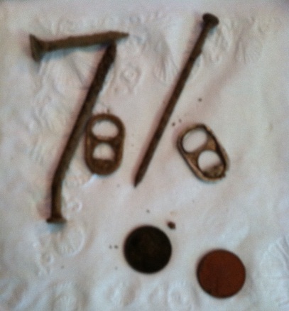 First-Year-Of-Hunting