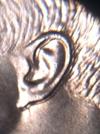 JFK-Half-Dollar-Roll-Hunters:-Silver,-Proofs-And-Other-Finds