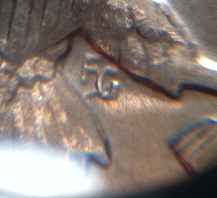 JFK-Half-Dollar-Roll-Hunters:-Silver,-Proofs-And-Other-Finds