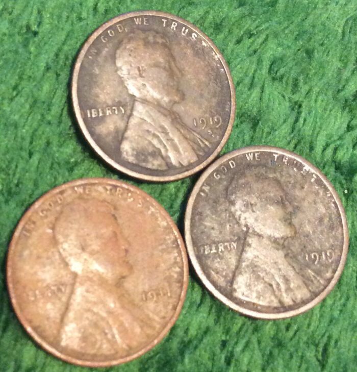 Is-There-Anything-I-Can-Do-With-These-Green-Dug-Wheats?