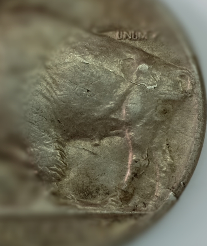 Please-Help:-Is-That-A-Mint-Error-Lamination?-Buffalo-Nickel