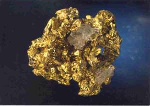 Take-The-Gold-Rush-Quiz.--How-Much-Do-You-Know?