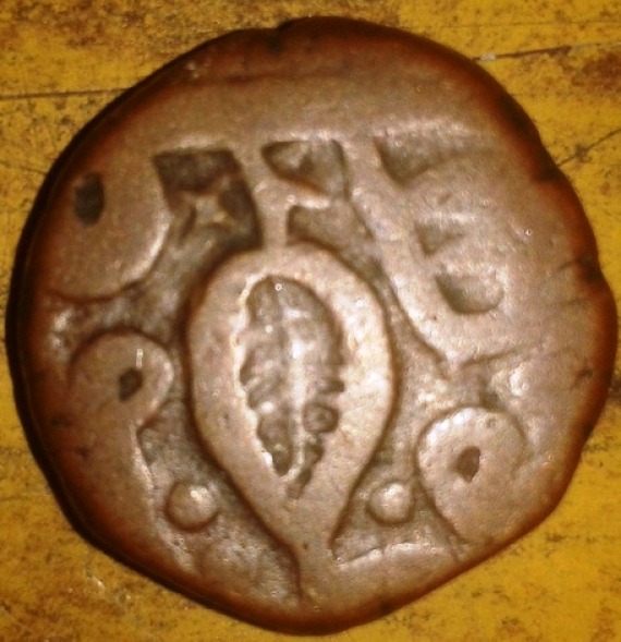 Please-Help-Identify