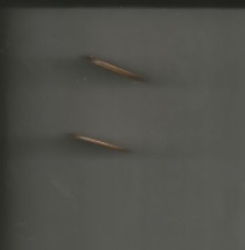 1944-D-Penny-Error?-Advise-Needed