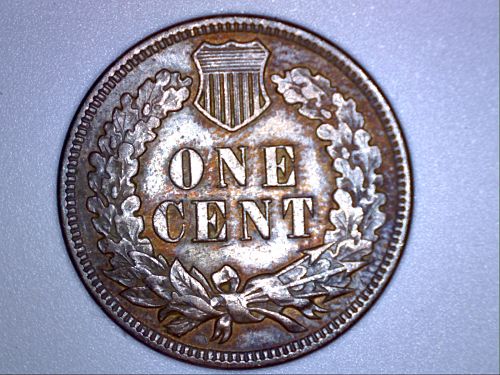 1906-Indian-Head-Penny-Is-This-Gradeable?
